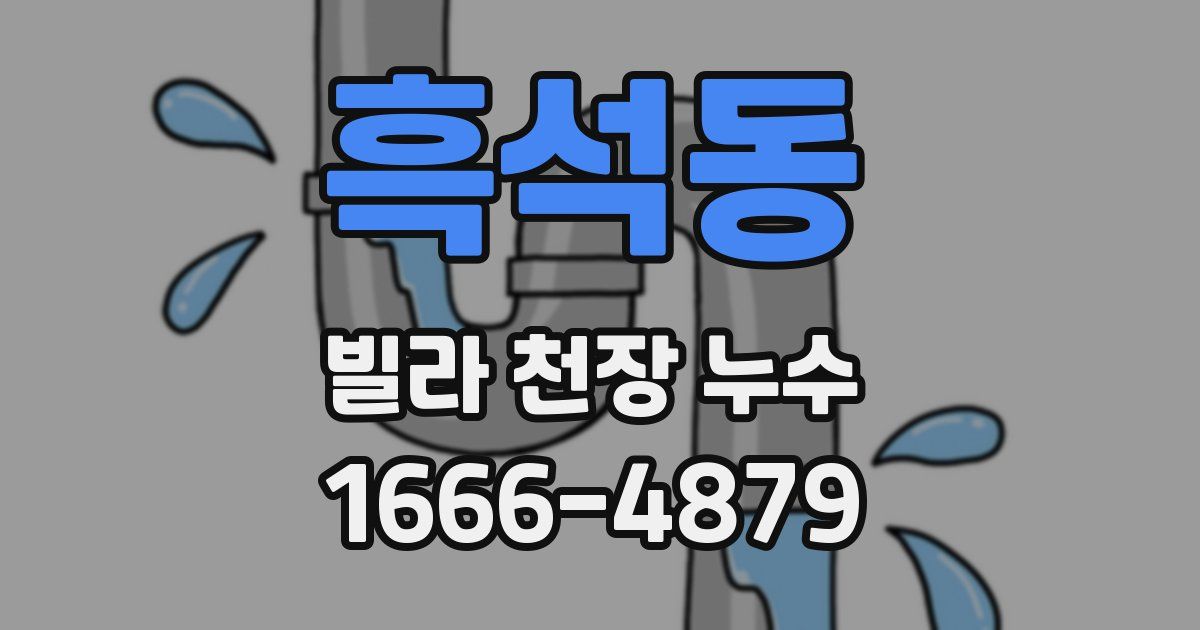 흑석동 빌라 천장 누수