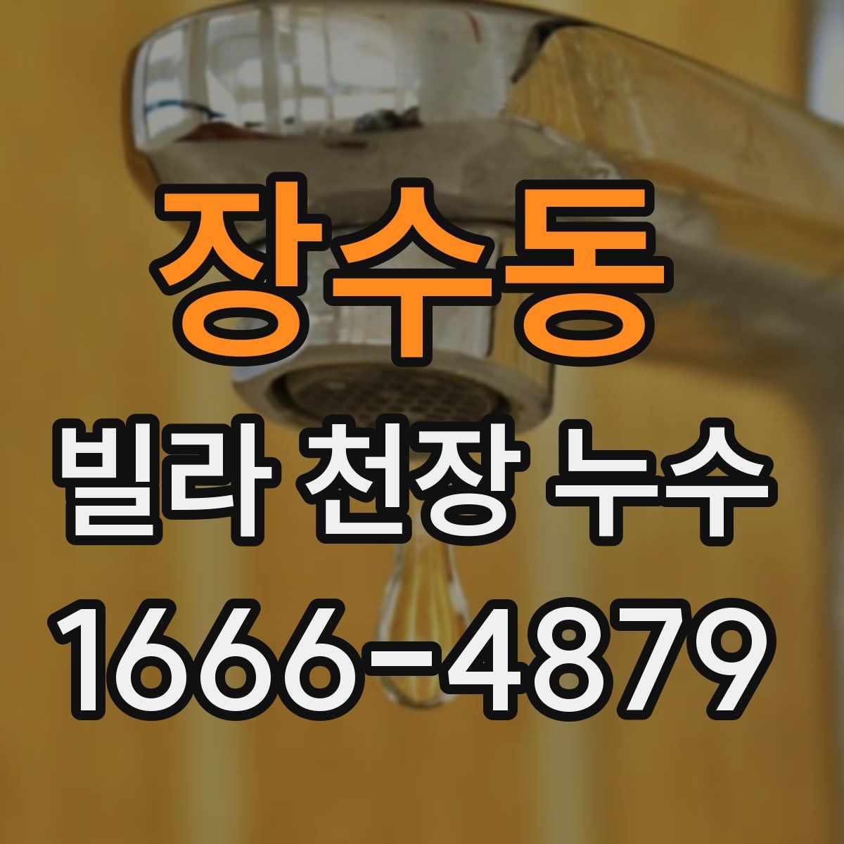장수동 빌라 천장 누수