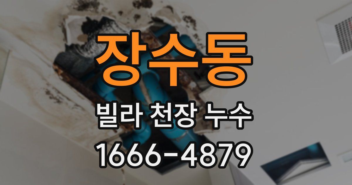 장수동 빌라 천장 누수