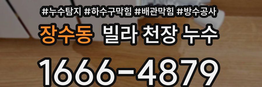 장수동 빌라 천장 누수