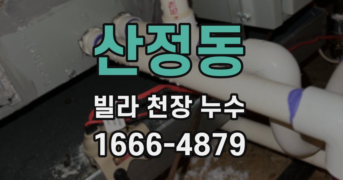 산정동 빌라 천장 누수