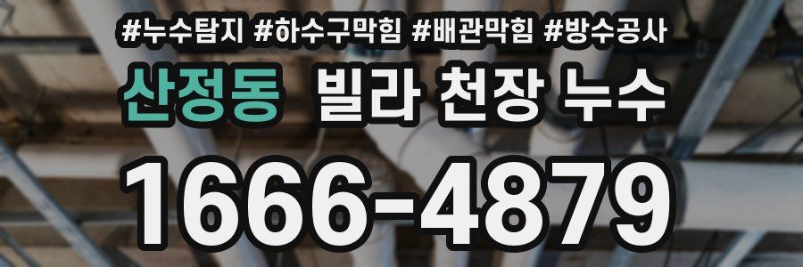 산정동 빌라 천장 누수