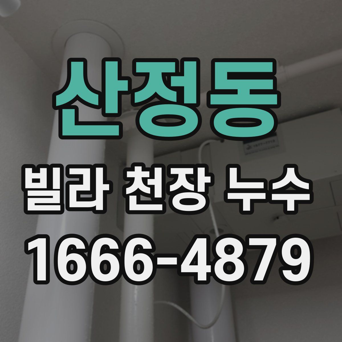 산정동 빌라 천장 누수