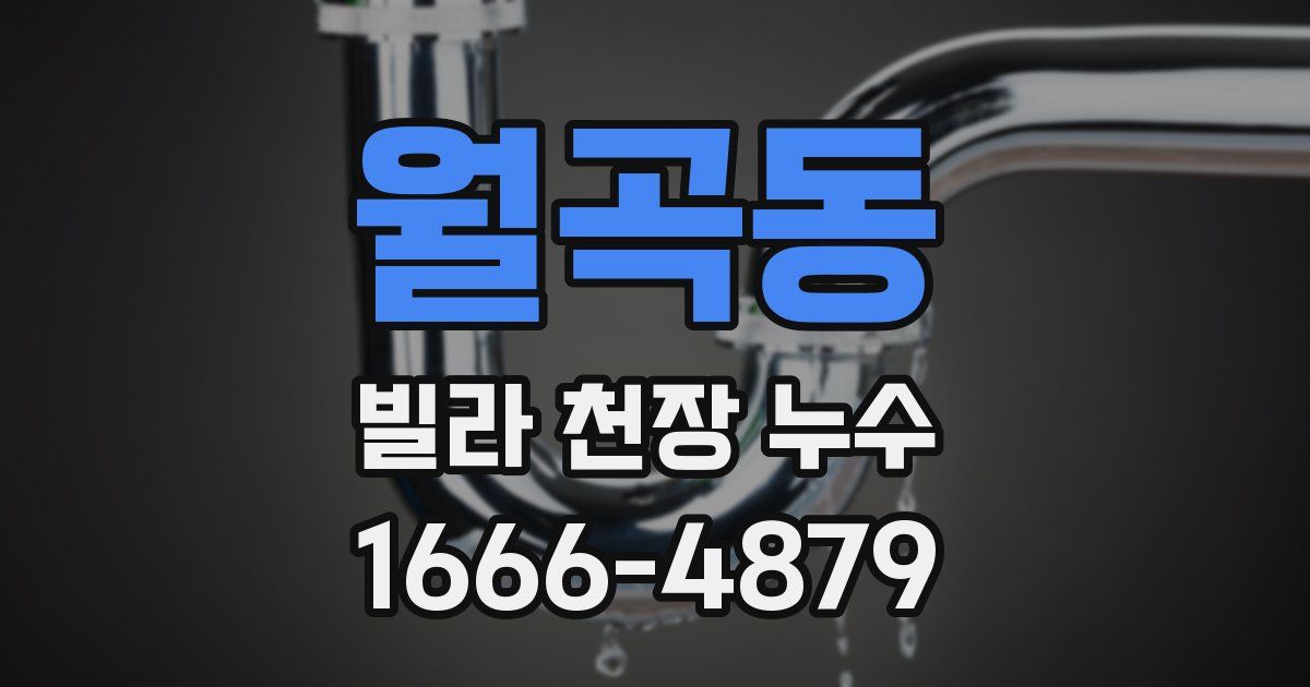 월곡동 빌라 천장 누수