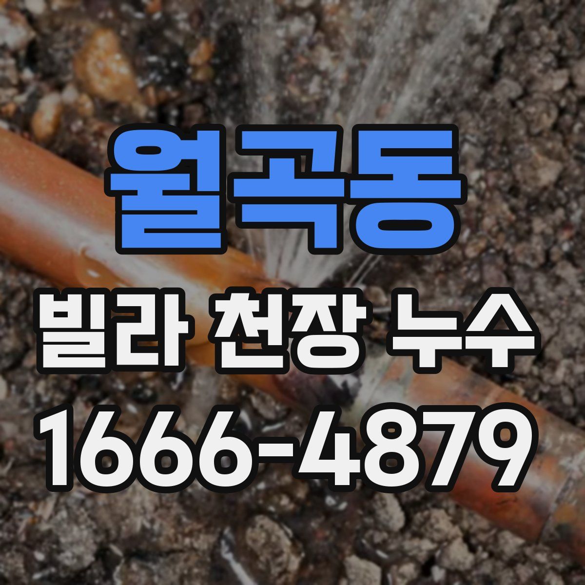 월곡동 빌라 천장 누수