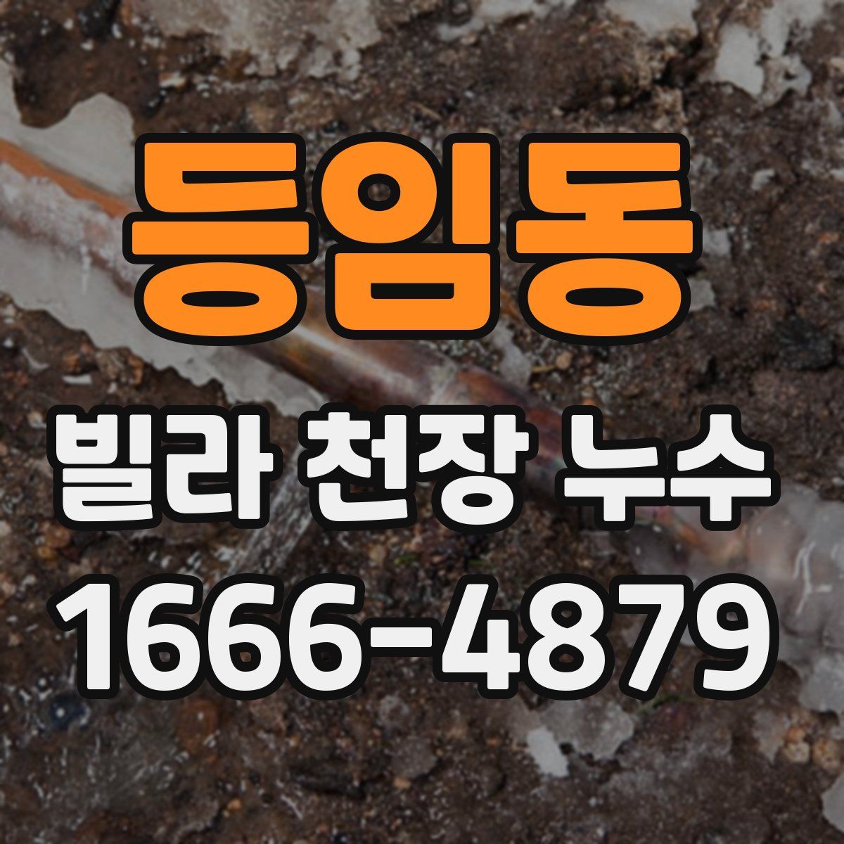 등임동 빌라 천장 누수