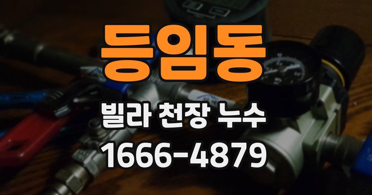 등임동 빌라 천장 누수