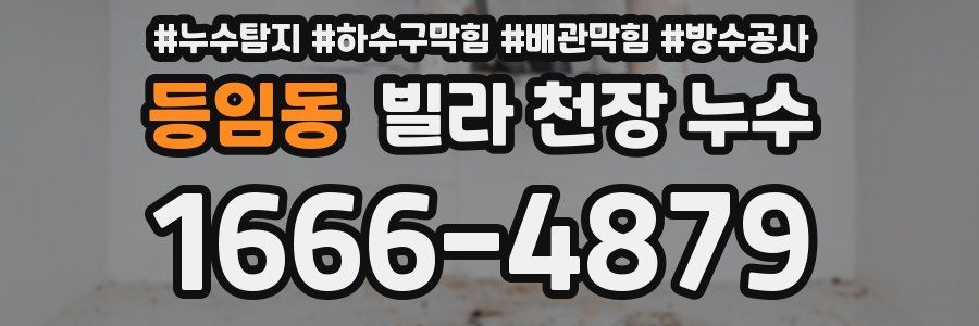 등임동 빌라 천장 누수