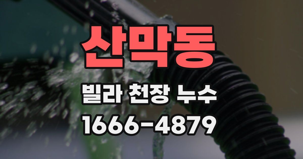 산막동 빌라 천장 누수
