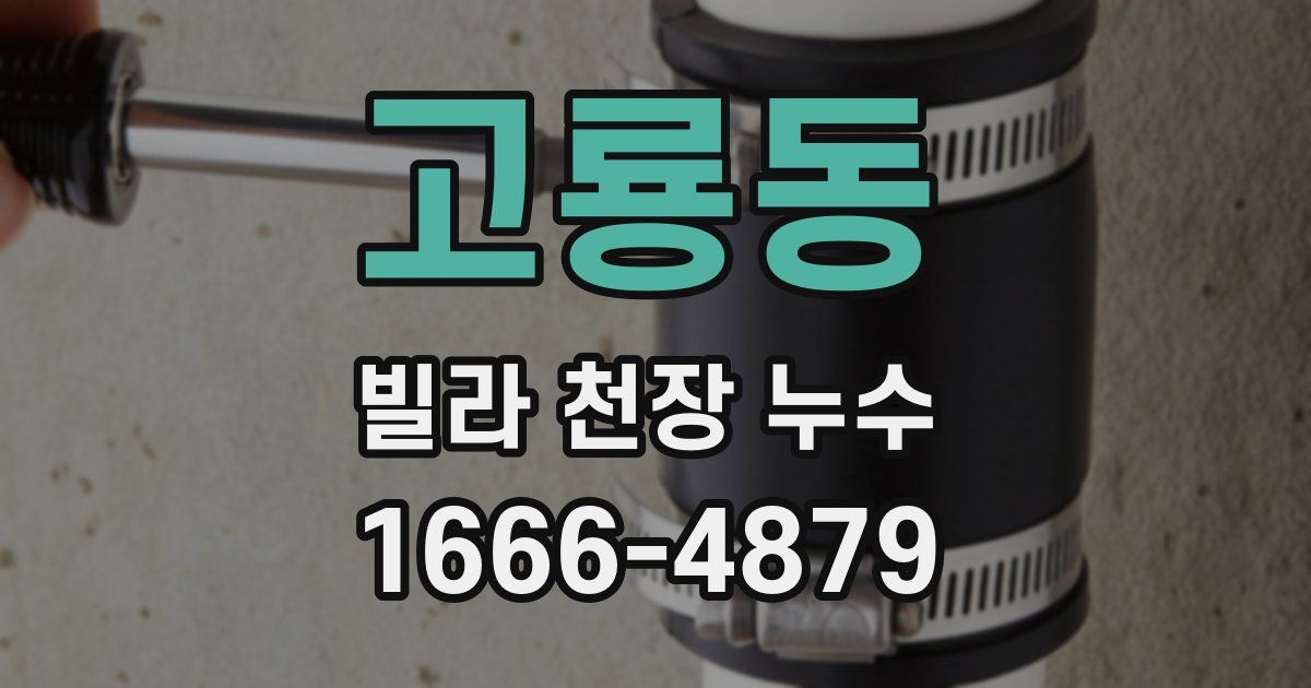 고룡동 빌라 천장 누수