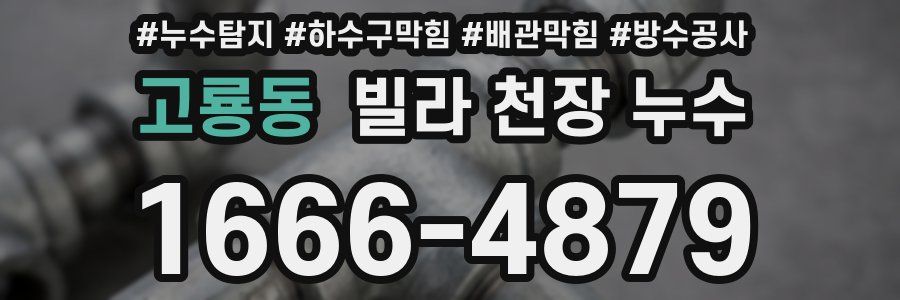 고룡동 빌라 천장 누수