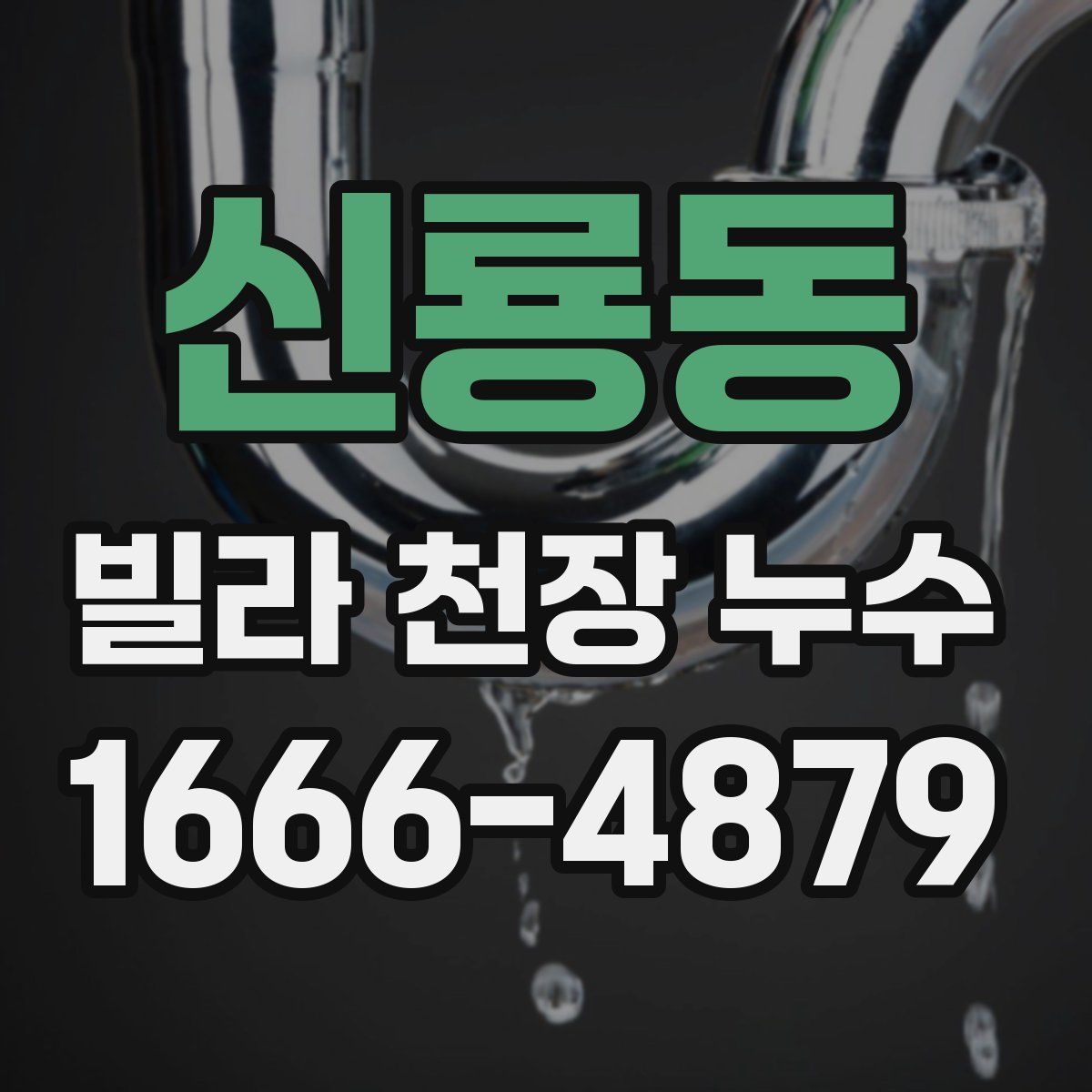 신룡동 빌라 천장 누수