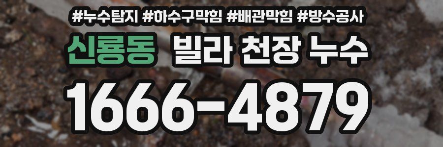 신룡동 빌라 천장 누수