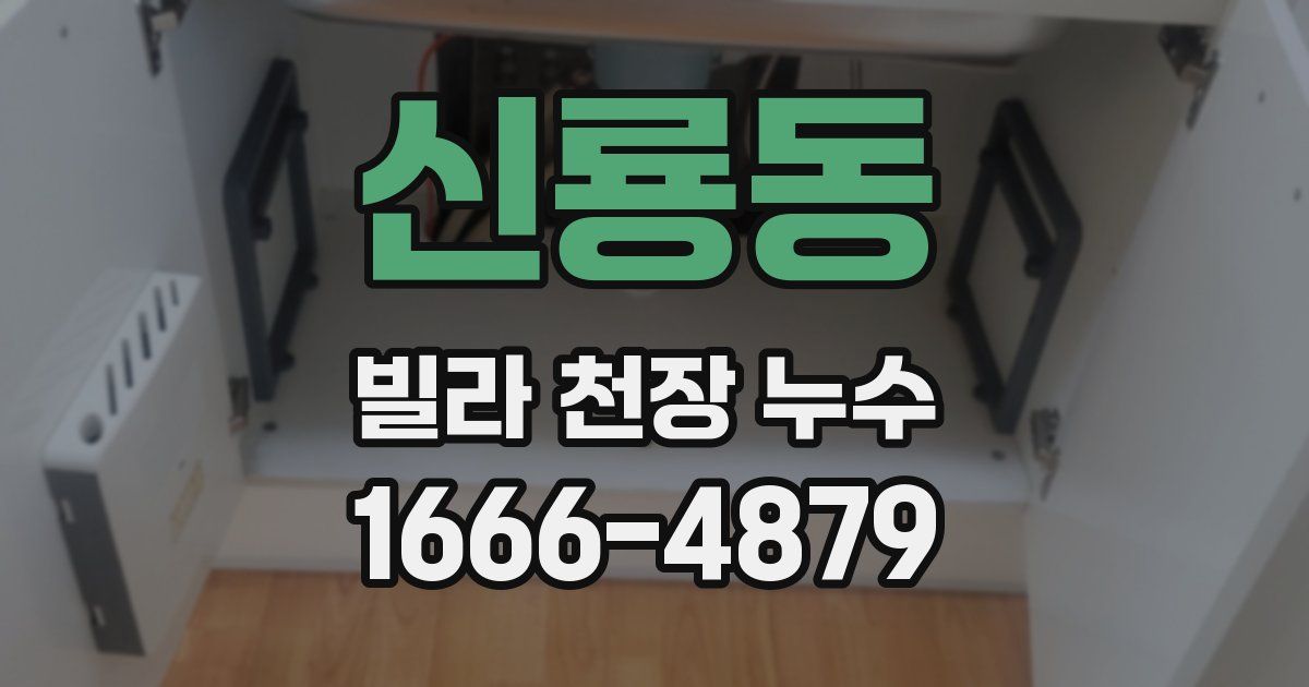 신룡동 빌라 천장 누수