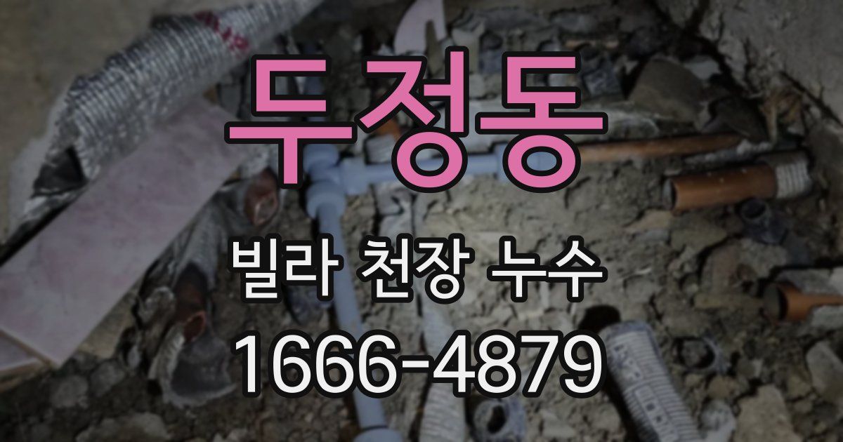두정동 빌라 천장 누수