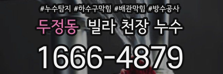 두정동 빌라 천장 누수