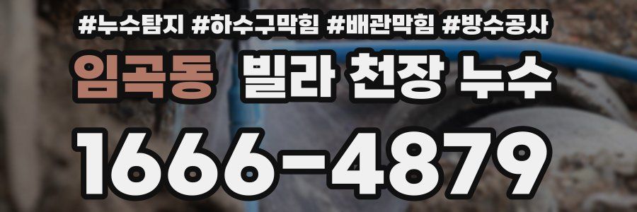 임곡동 빌라 천장 누수