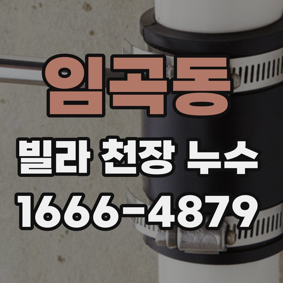 임곡동 빌라 천장 누수
