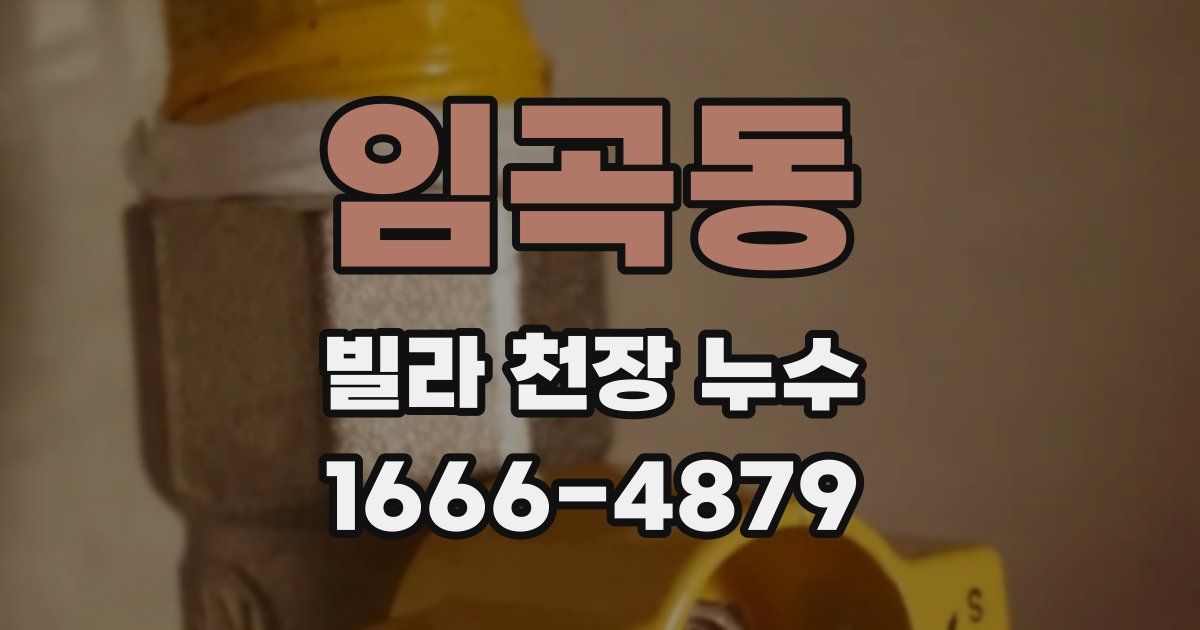 임곡동 빌라 천장 누수