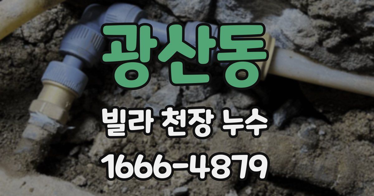 광산동 빌라 천장 누수