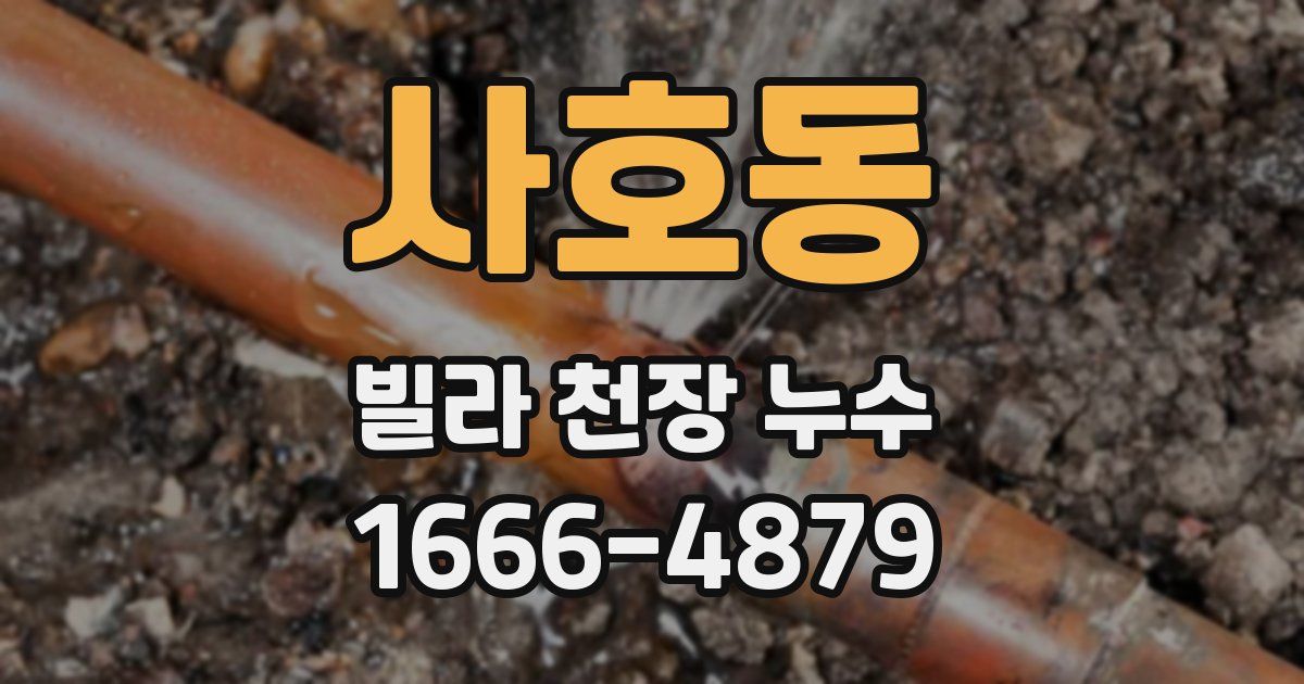 사호동 빌라 천장 누수