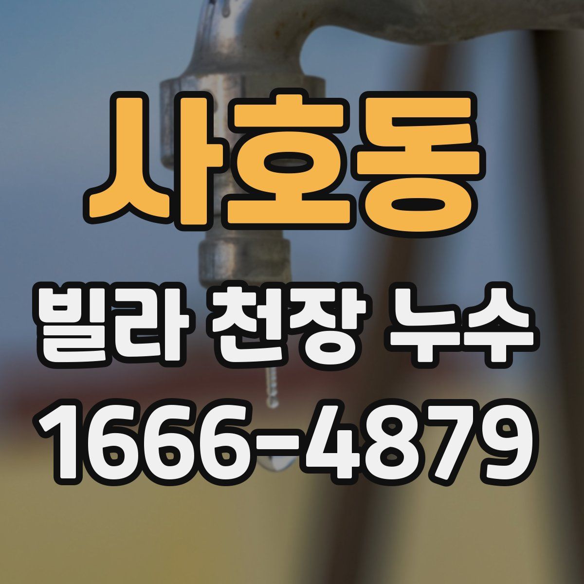 사호동 빌라 천장 누수