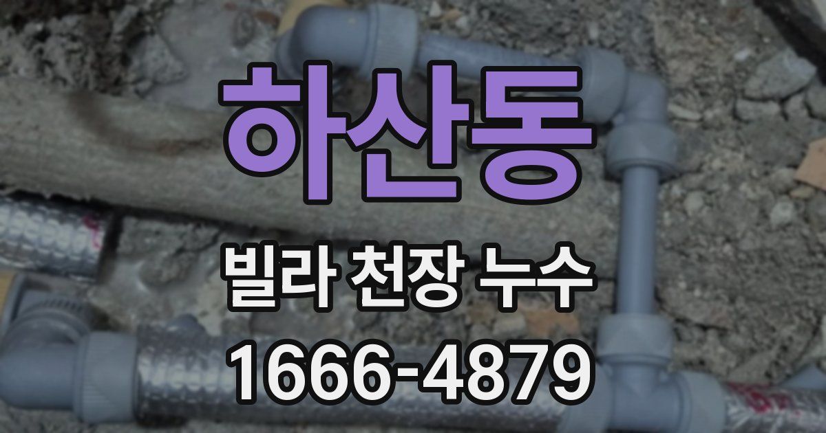 하산동 빌라 천장 누수