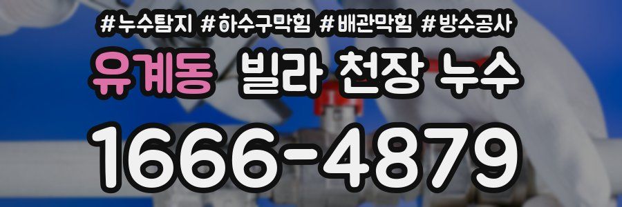 유계동 빌라 천장 누수