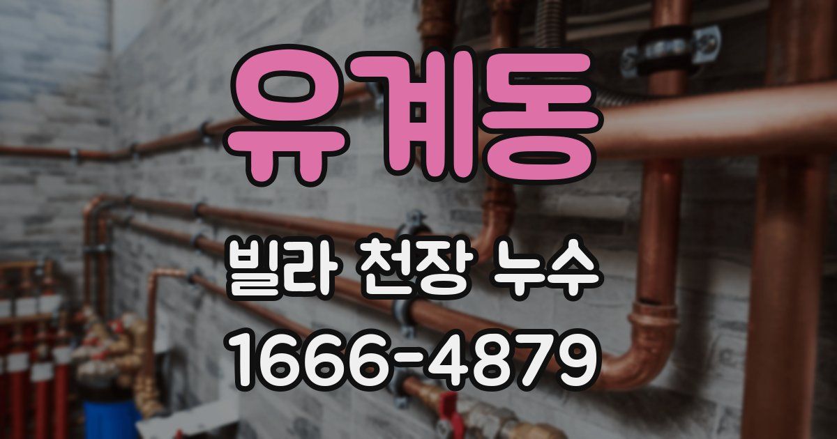 유계동 빌라 천장 누수