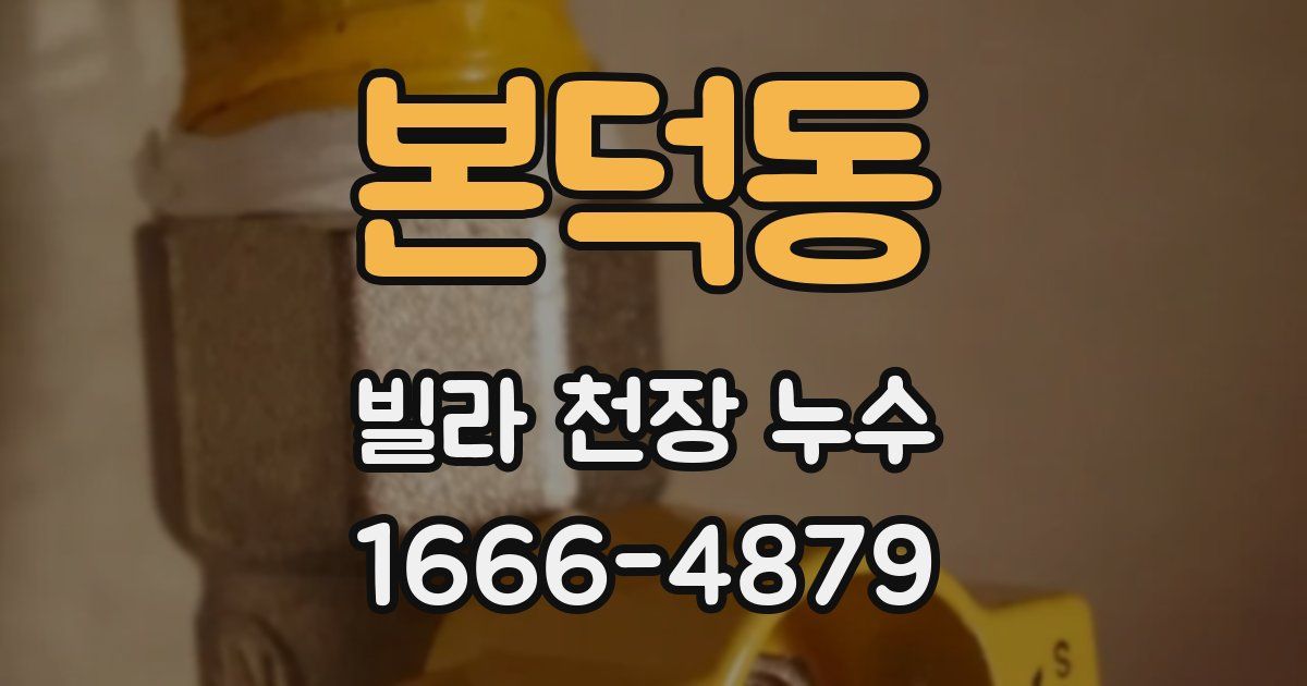 본덕동 빌라 천장 누수
