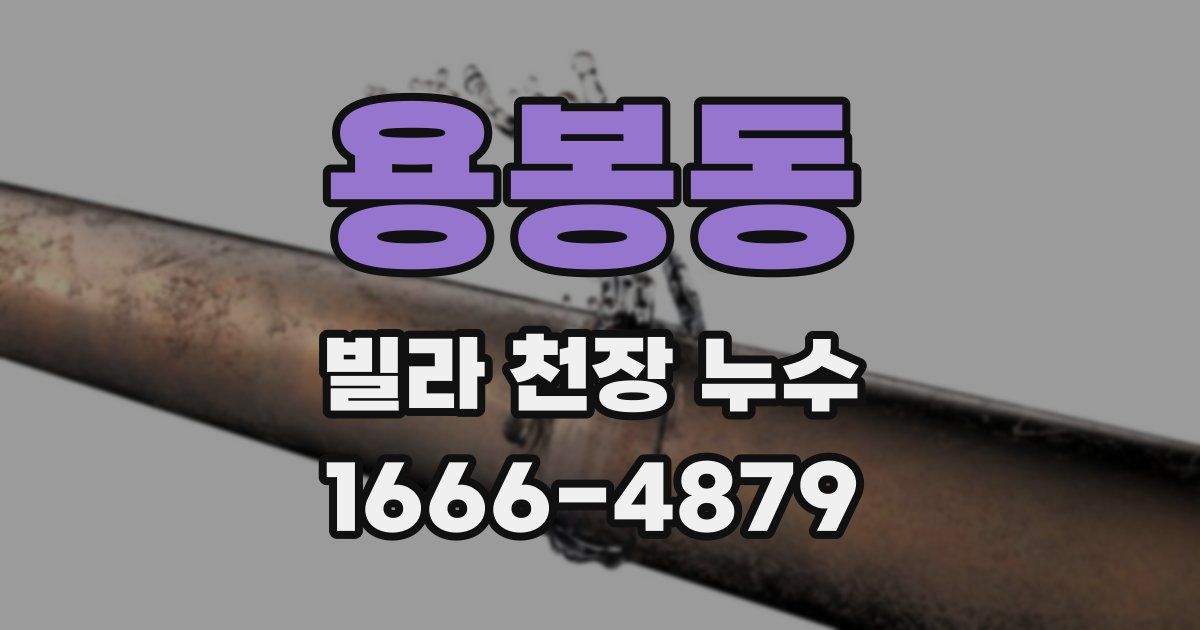 용봉동 빌라 천장 누수