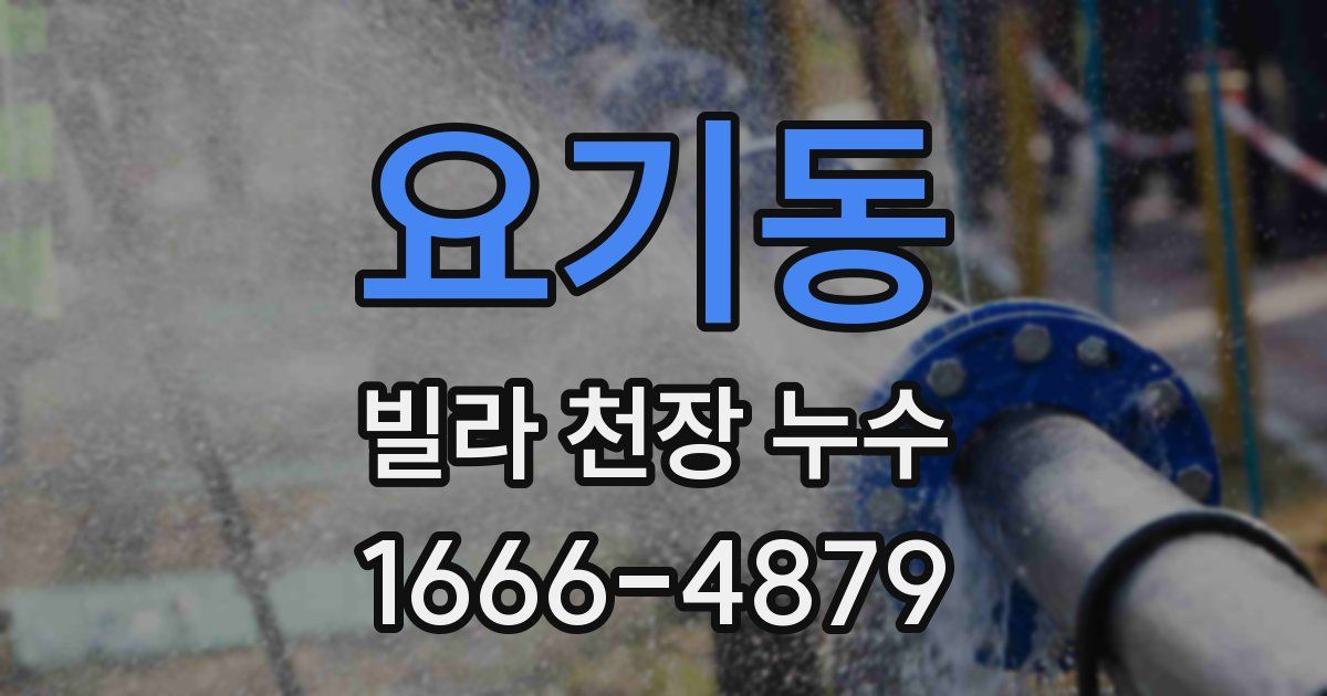 요기동 빌라 천장 누수