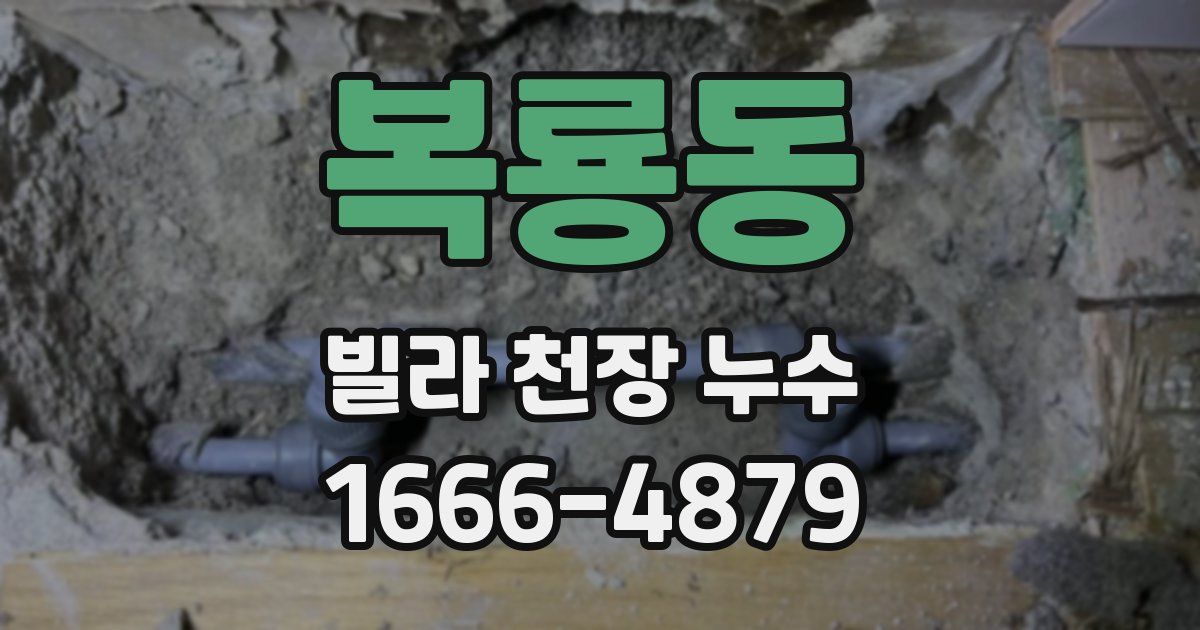 복룡동 빌라 천장 누수
