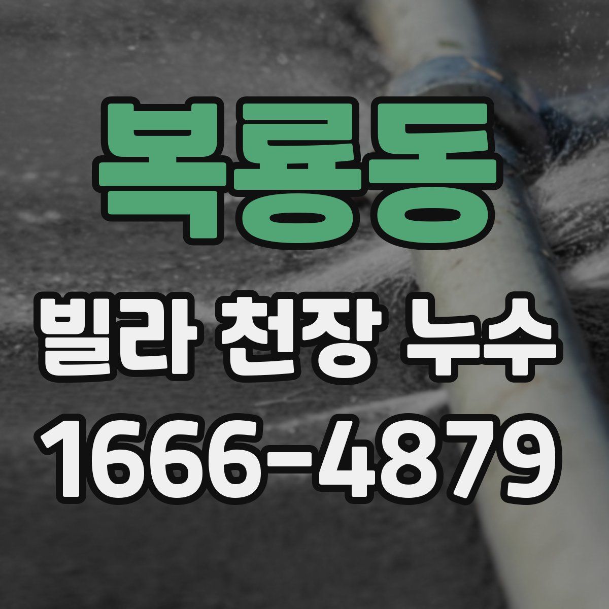 복룡동 빌라 천장 누수