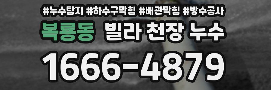 복룡동 빌라 천장 누수