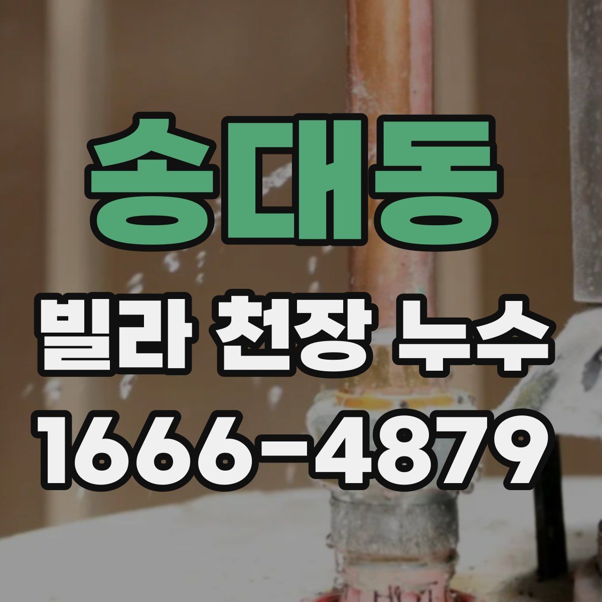 송대동 빌라 천장 누수