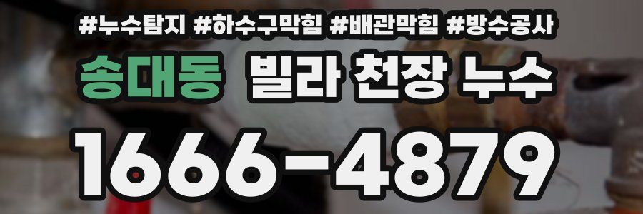 송대동 빌라 천장 누수