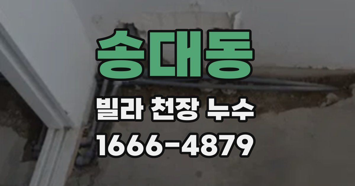 송대동 빌라 천장 누수