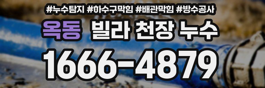 옥동 빌라 천장 누수