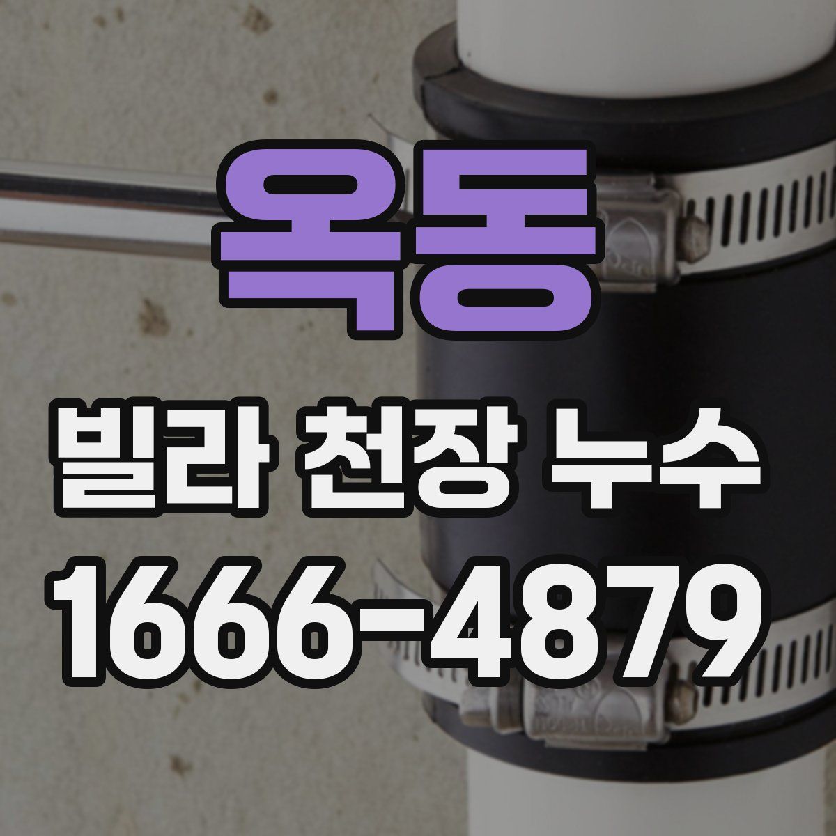 옥동 빌라 천장 누수