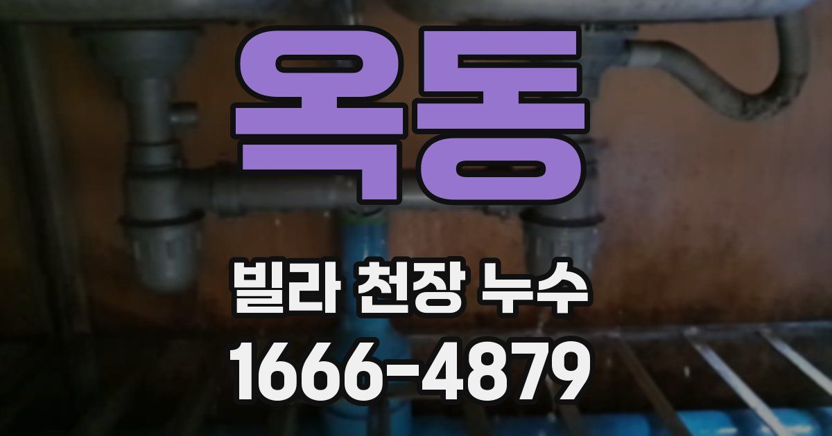 옥동 빌라 천장 누수