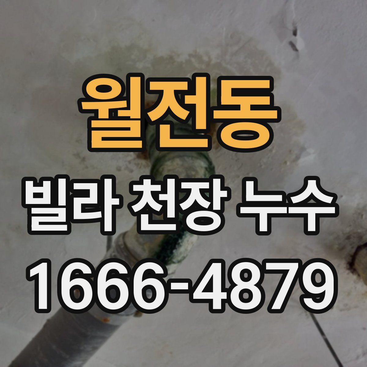 월전동 빌라 천장 누수