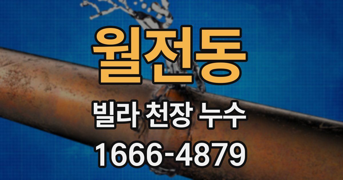 월전동 빌라 천장 누수