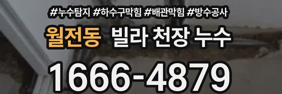 월전동 빌라 천장 누수
