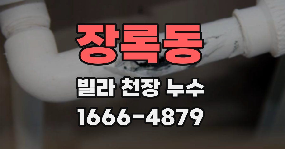 장록동 빌라 천장 누수