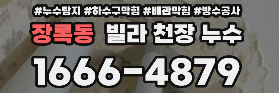 장록동 빌라 천장 누수