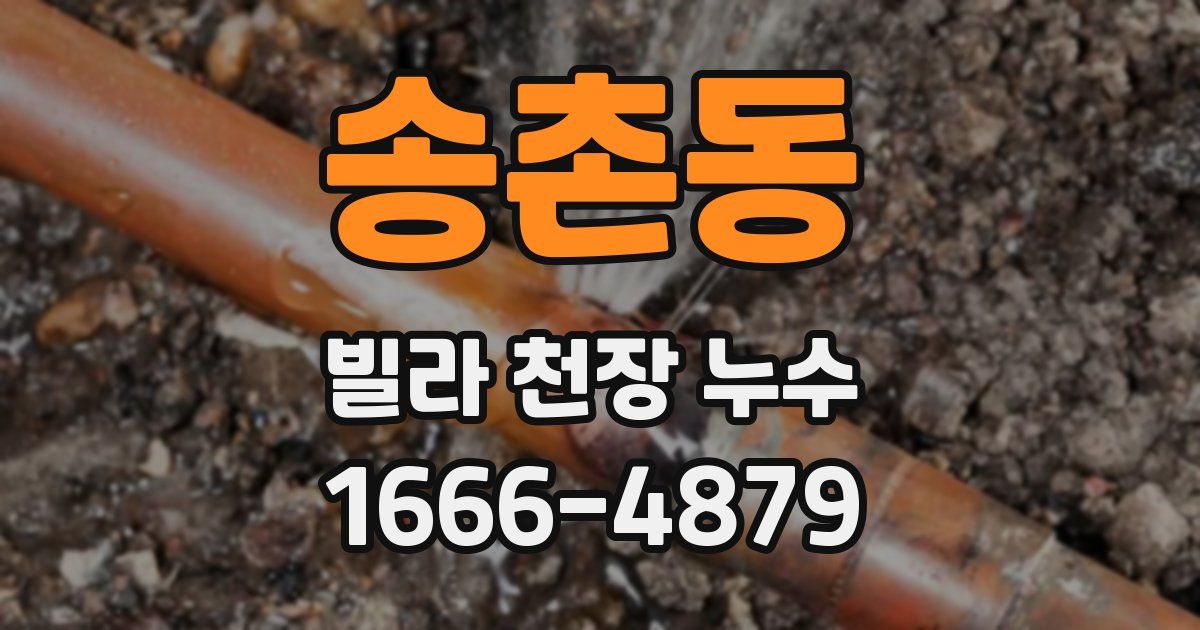 송촌동 빌라 천장 누수