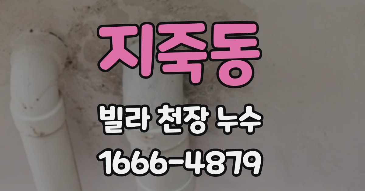 지죽동 빌라 천장 누수