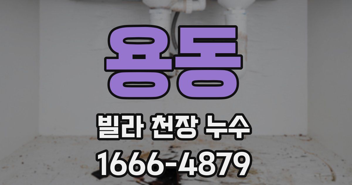 용동 빌라 천장 누수