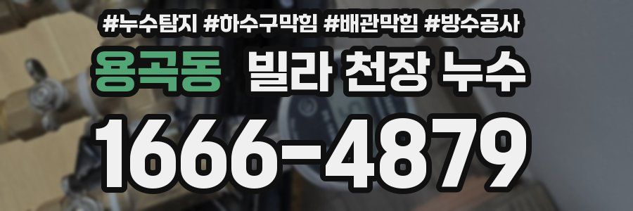 용곡동 빌라 천장 누수